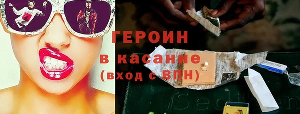 хмурый Аркадак