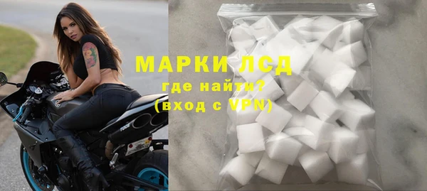 хмурый Аркадак