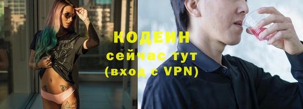хмурый Арсеньев