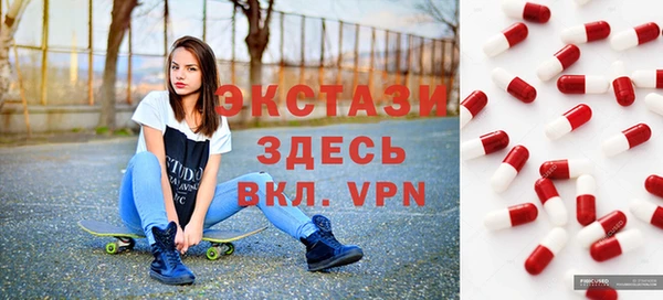 хмурый Аркадак