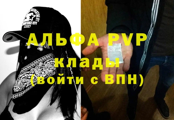 хмурый Аркадак