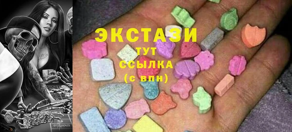 хмурый Аркадак