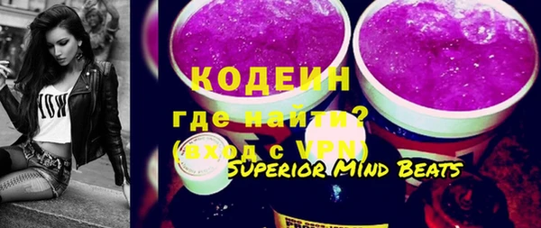 хмурый Аркадак