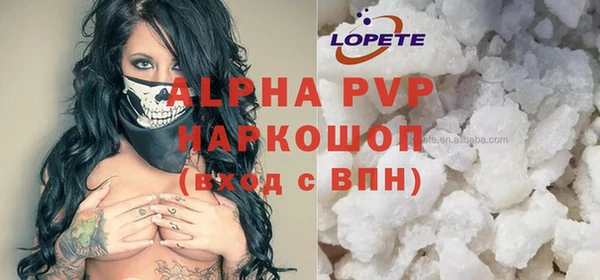 хмурый Аркадак